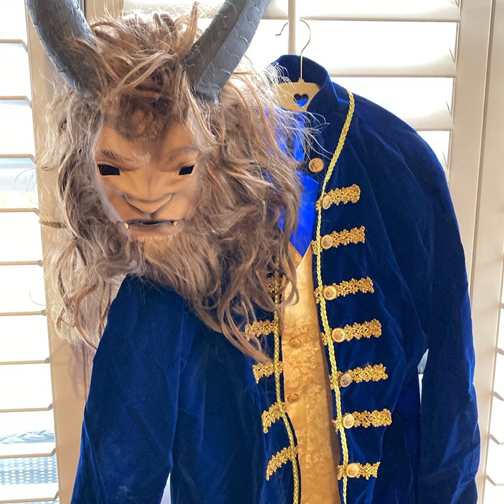Beauty and the beast costume size standard